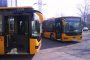 Az esélyegyenlőség jegyében - a hazai alacsonypadlós buszok fejlődése