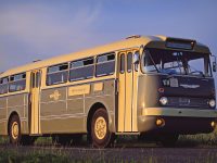 Farossal a Medveotthonhoz