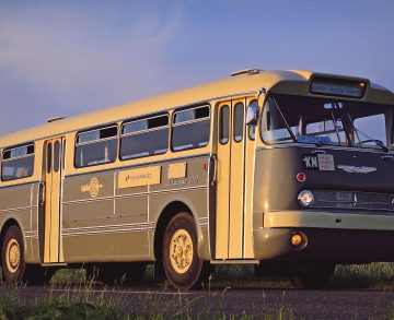 Farossal a Medveotthonhoz