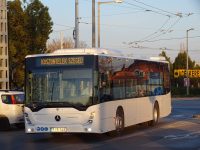 Tízmilliárd forintot ad a kormány a szegedi közösségi közlekedés zöldítésére