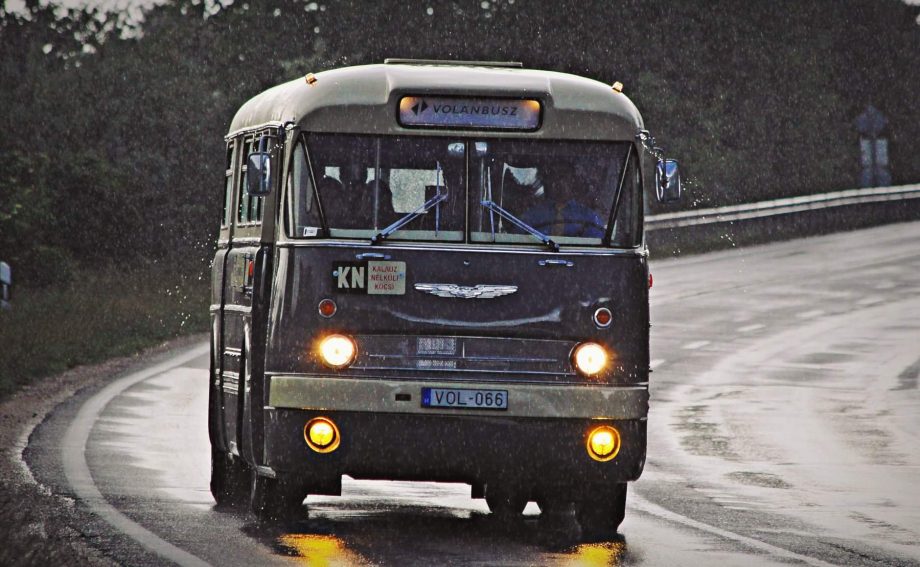 61235264 2500744303291364 7258232050040176640 o