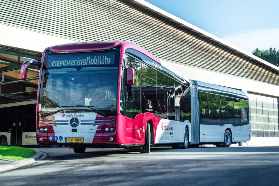 125936745 1188629641533117 3378796820494838282 o