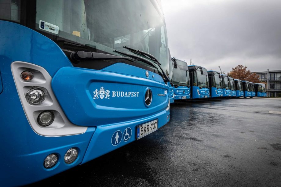 129177848 3486366508099097 1895793744097662578 o