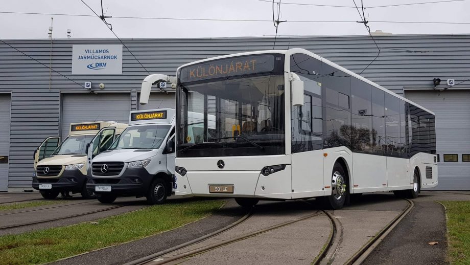 132011634 2775323706064594 5308702409821541031 o 1