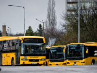 Több, mint ezer autóbusz-vezetőt tüntetett ki a Volánbusz