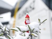 Öt jótékonysági szervezet munkáját segíti a Volánbusz