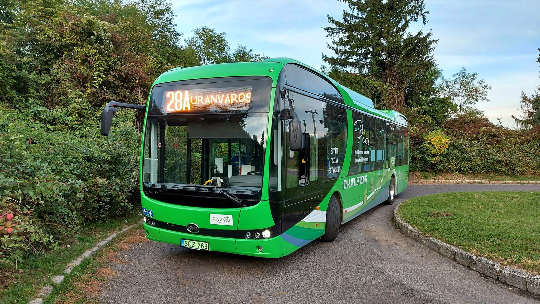 Újabb villanybuszokat vásárolna Pécs