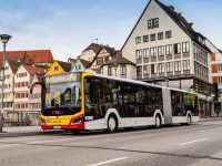 Hét MAN Lion’s City 19-et vásárolt a TüBus