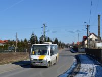 Kormányhivatal: a honosítás nem jogosít menetrend szerinti személyszállításra