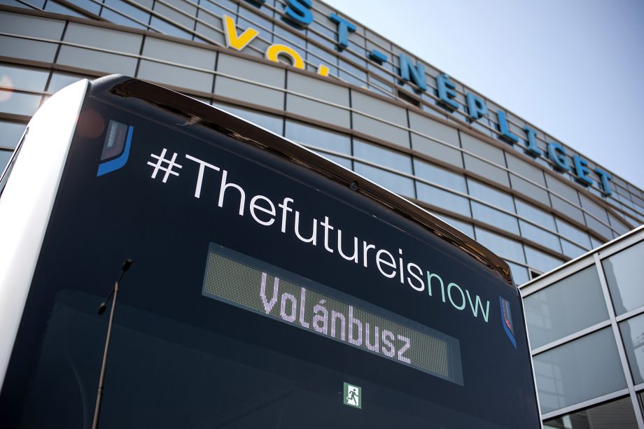 DSC 4337 ok kozlemenybe