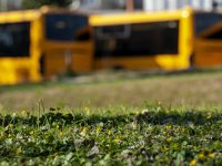 Változik a Volánbusz menetrendje a hosszú hétvégén