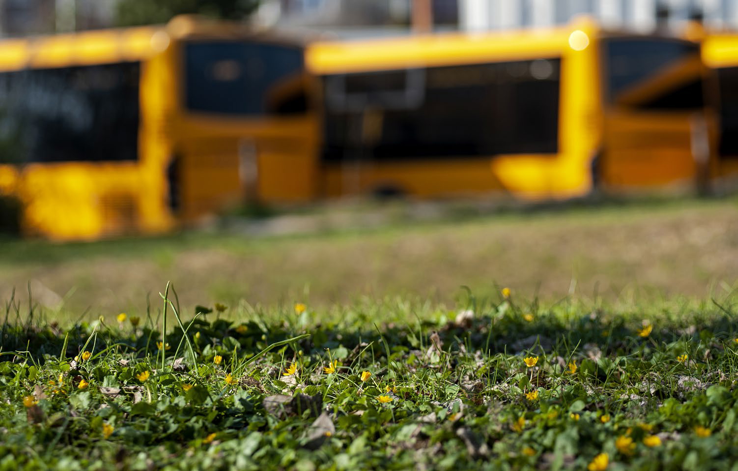 Változik a Volánbusz menetrendje a hosszú hétvégén