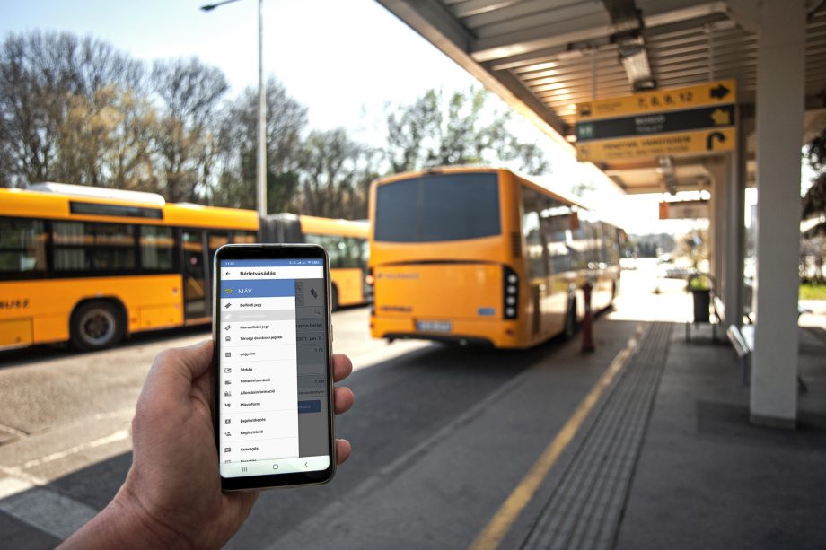 1617353966253 DSC 4202 ok2