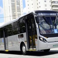 21C0229 001 cimlapkep