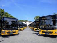 Tizenhat Lion’s City G áll forgalomba Hajdú-Bihar megyében