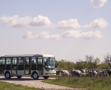 Elektromos minibuszokkal utazhatnak a látogatók a Hortobágyon