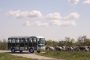 Elektromos minibuszokkal utazhatnak a látogatók a Hortobágyon