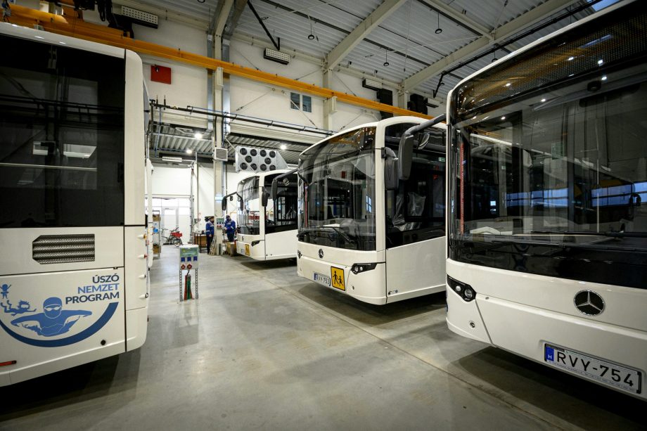 Az Úszó Szövetség ismét nekifutna az Úszó Nemzet Program előzetes tesztüzemének