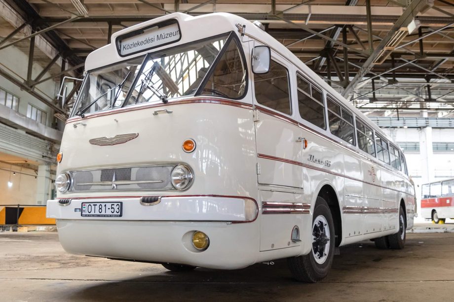 240873116 4484864274890646 7831192248963892039 n