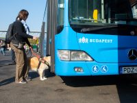 Október 15-ig várja a vakok és gyengénlátók közlekedését segítő ötleteket a BKK