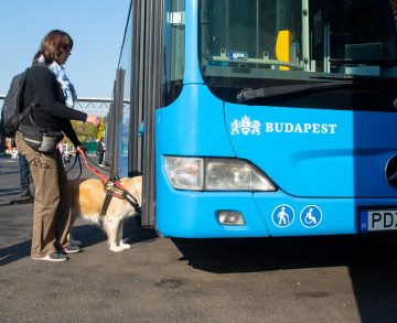 Október 15-ig várja a vakok és gyengénlátók közlekedését segítő ötleteket a BKK