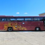 IMG 4956b
