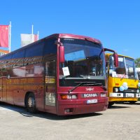 IMG 4959b