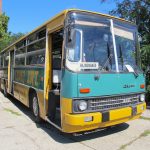 IMG 4964b