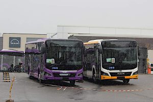 263044336 281501353935411 5820285747188270599 n