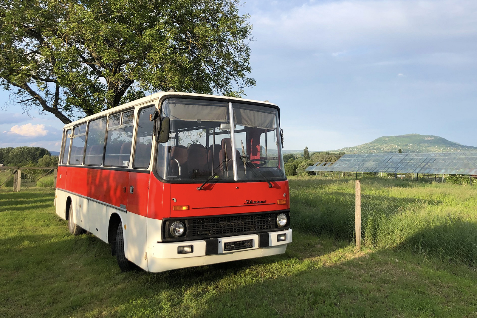 Laprugós kedvencek - Ikarus 211-es midibuszok hazai magángyűjtőknél