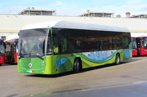 arton95095 cimlapkep