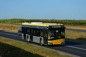 51973894416 8e045ff155 b