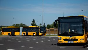 Jövőre jelentősen egyszerűsödik az autóbuszos jogosítványszerzés