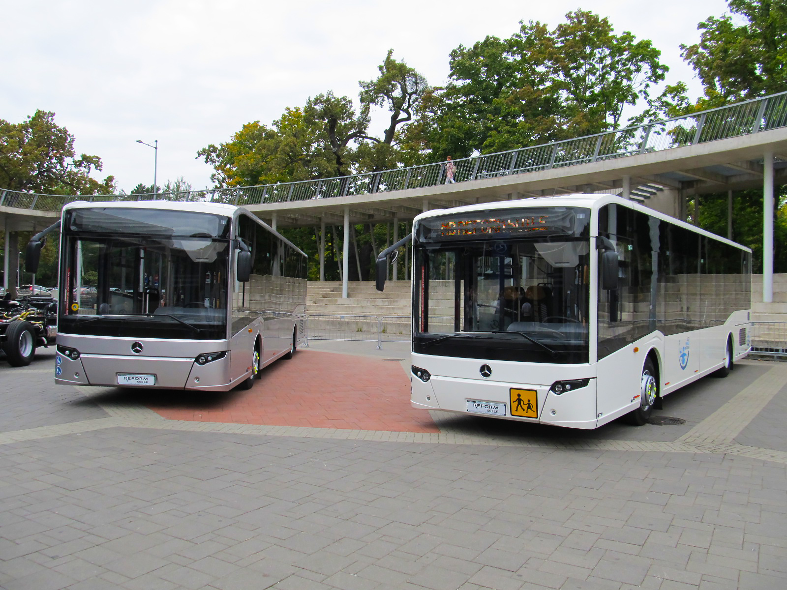 IMG 4990b