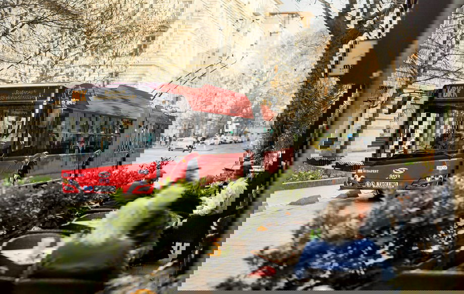 08 solaris trollino 18 1