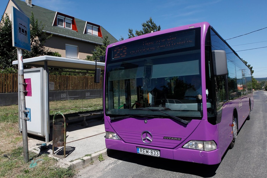 116435692 1461521927373616 4927292682367648011 n