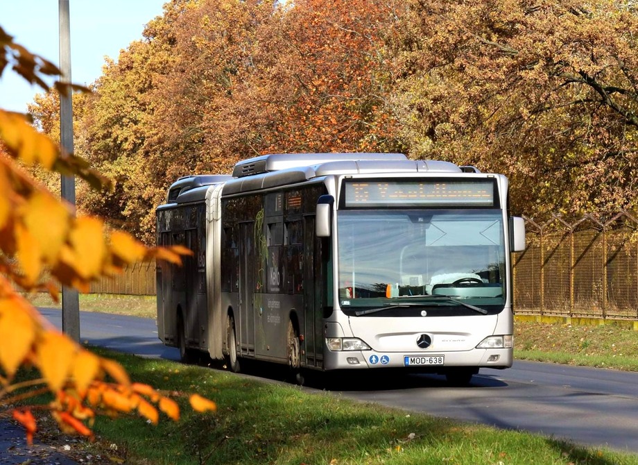 270836833 437964787872848 3470286184259228343 n