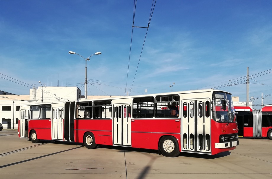 374460386 6968526076493838 6537971959158109375 n