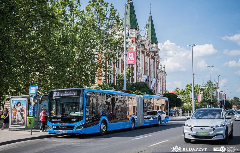 ujmanbusz illusztracio cimlapkep 2