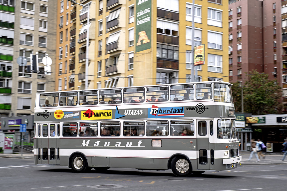 Ismet Pecsett Ikarus 556 emetes Volanbusz 20240326