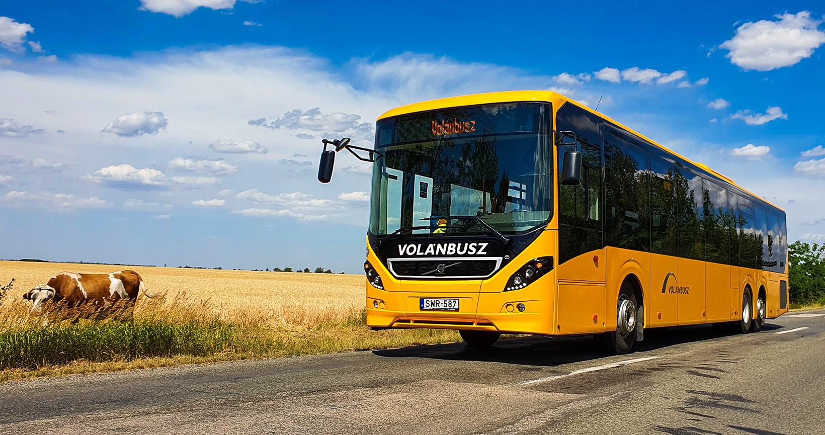 Helyfoglalási rendszer a Volánbusznál: kérdések és válaszok