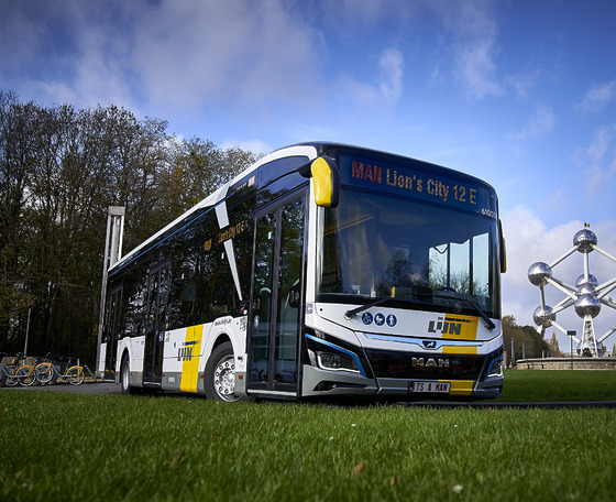181 darab MAN e-buszt állít forgalomba a flamand De Lijn színeiben a Hansea