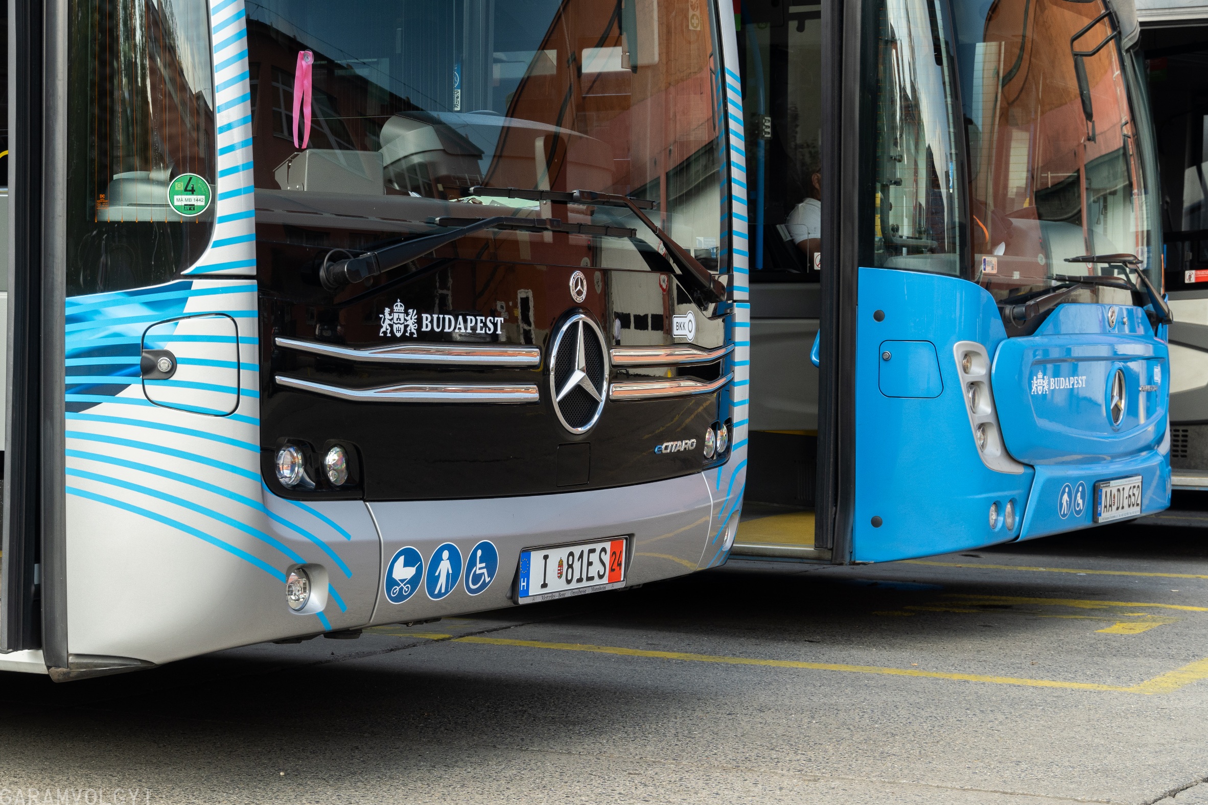 Magyarországon is bemutatkozik a Mercedes-Benz eCitaro G fuel cell 2 I 81ES Conecto
