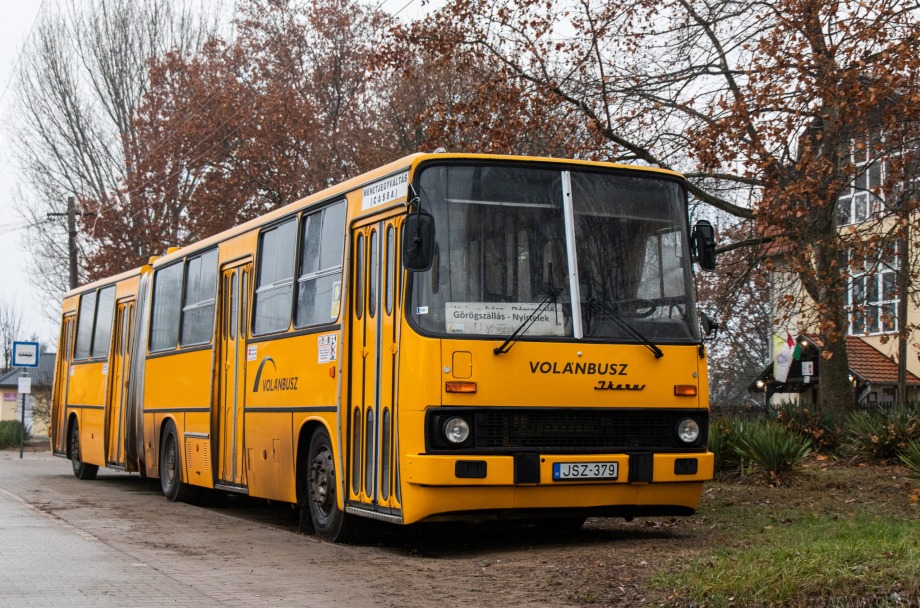 50656996336 26185e660e o