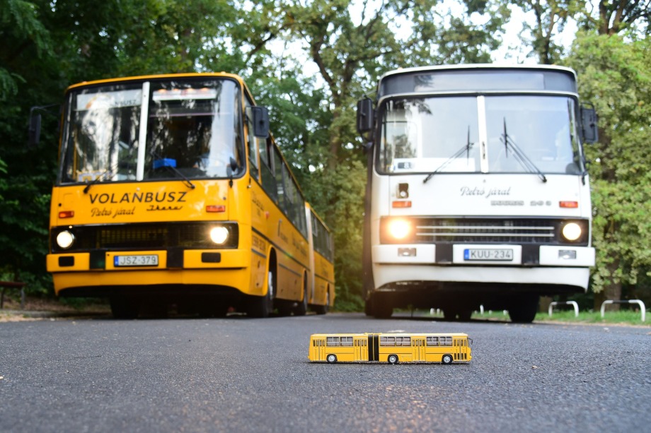 JSZKUU 1