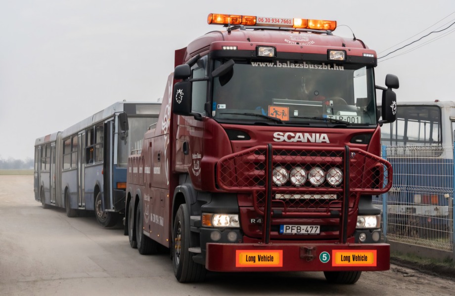 481257051 2451509475227014 4631296693231592390 n