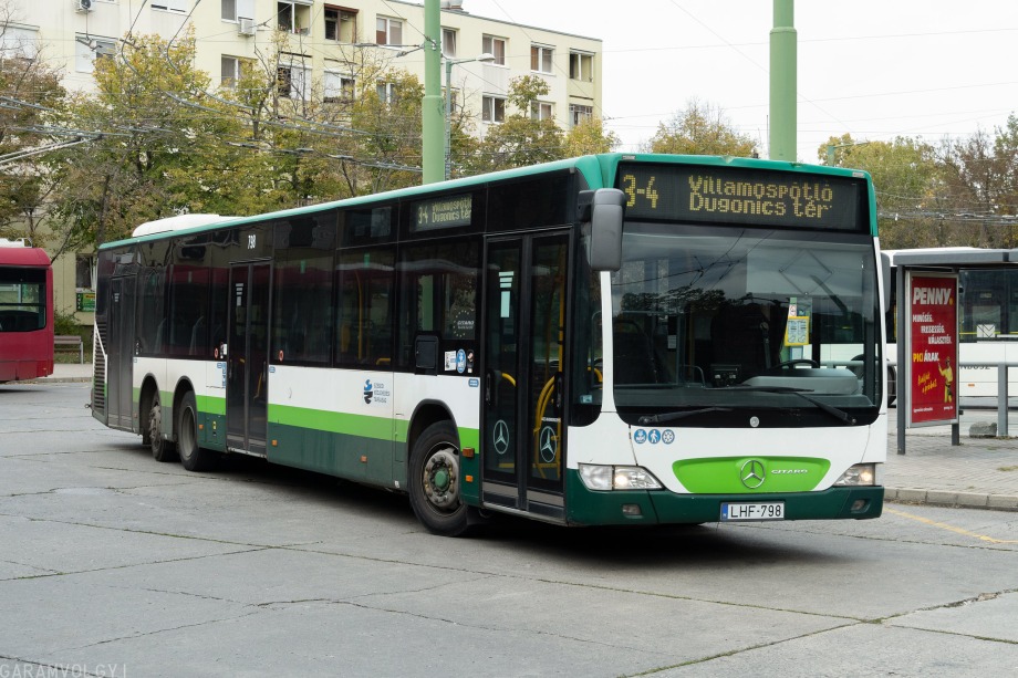 53304516286 4171b1affc k