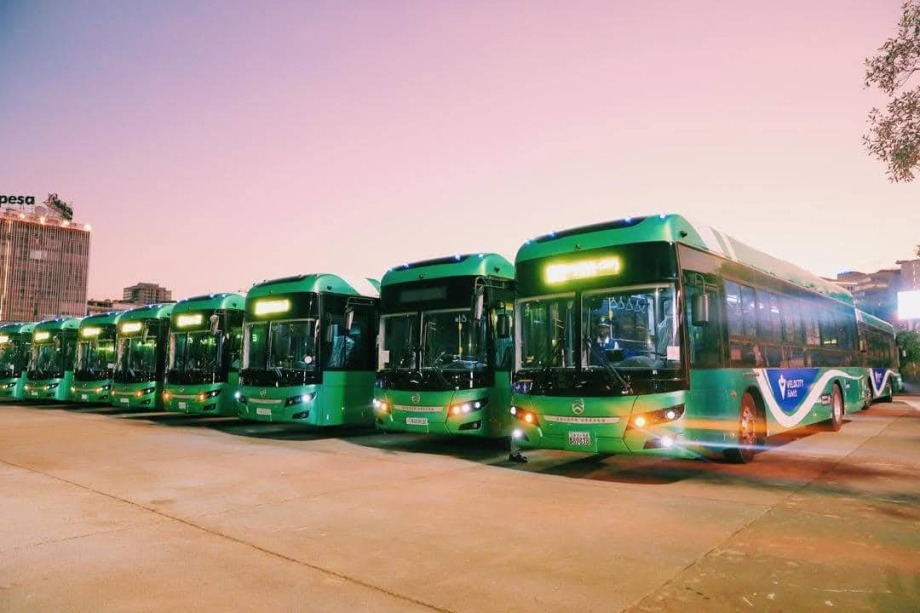 488256007 122217111284242559 3869588597806454680 n