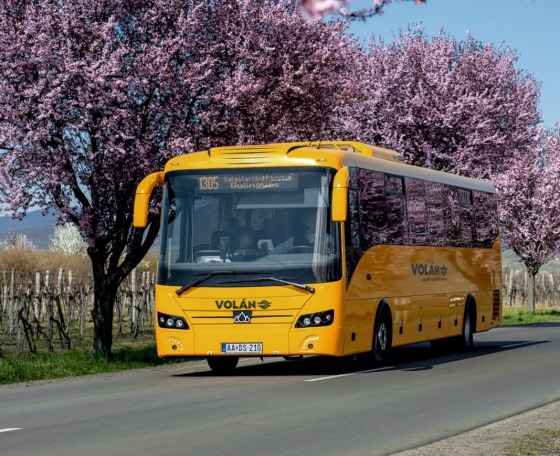 Helyközi autóbuszos közszolgáltatás 10 évre: finanszírozás, flotta és teljesítmény