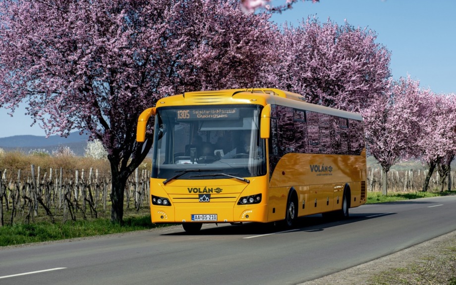 Helyközi autóbuszos közszolgáltatás 10 évre: finanszírozás, flotta és teljesítmény